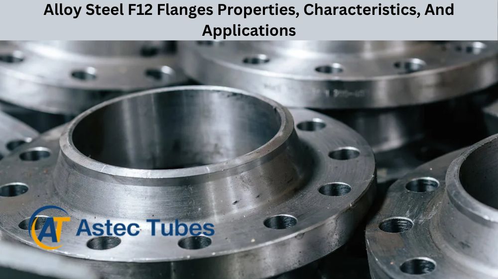 Alloy Steel F12 Flanges