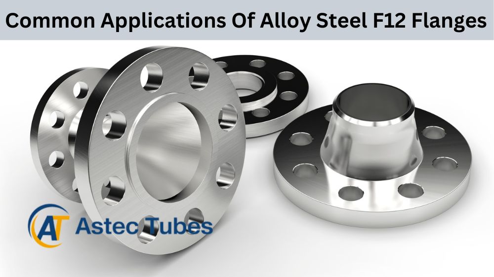 Alloy Steel F12 Flanges