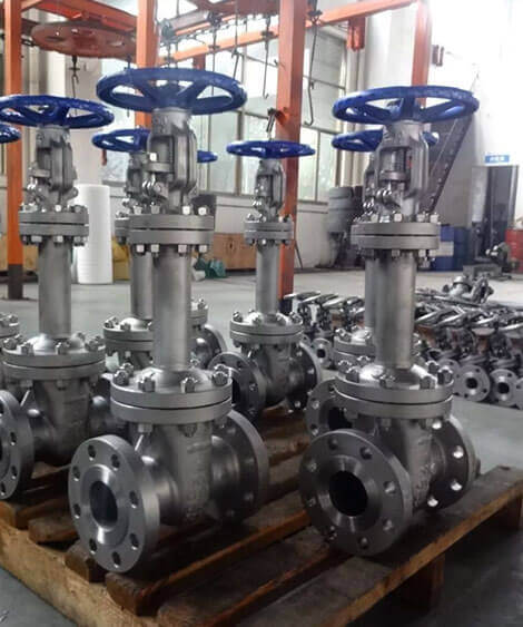 Stainless Steel 316 Valves